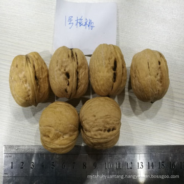 walnuts